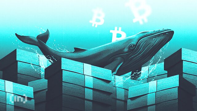 una balena bitcoin ha mosso 84 milioni di dollari dopo 12 anni, segnalando un'importante attività nel mercato delle criptovalute.