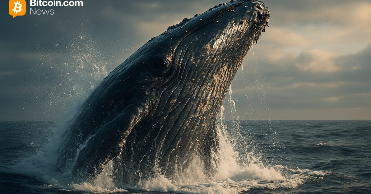 una balena bitcoin ha spostato 84 milioni di dollari dopo 12 anni, segnando un evento significativo nel mercato delle criptovalute.