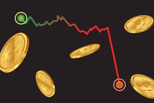 scopri i migliori etf cripto solidi per investire in bitcoin in modo sicuro e efficace. approfitta delle opportunità del mercato delle criptovalute con soluzioni affidabili e diversificate.