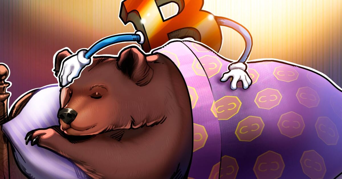 Bitcoin short liquidazione | BitcoinLive24