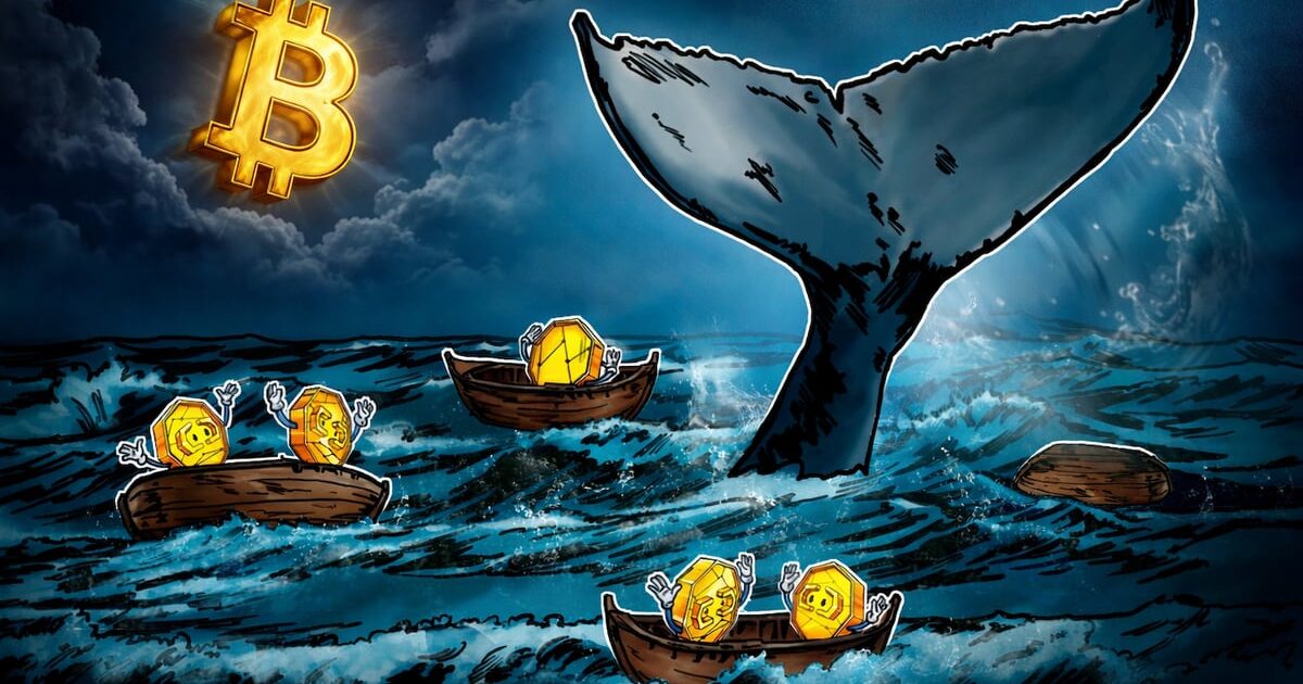Bitcoin whale perdite 2026 | BitcoinLive24
