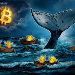 Bitcoin whale perdite 2026 | BitcoinLive24