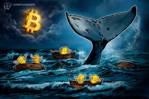 Bitcoin whale perdite 2026 | BitcoinLive24