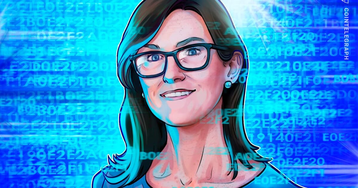 Cathie Wood: Bitcoin Non Vedrà Mai Più Crolli dell'85%. Targ | BitcoinLive24