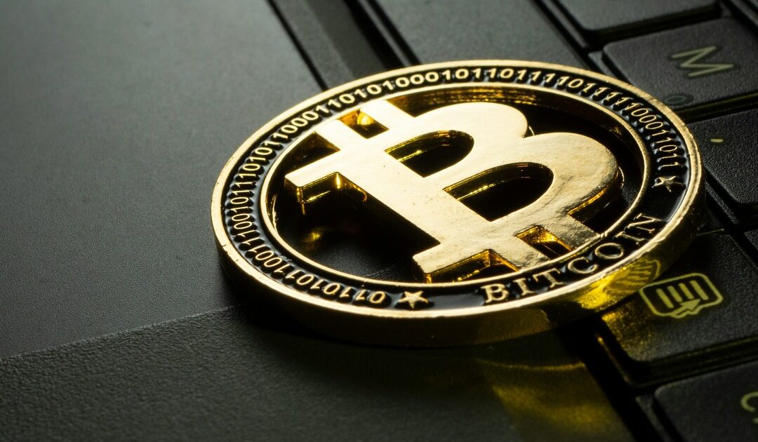Tesla SpaceX Bitcoin treasury Elon Musk fusione holder aziendale