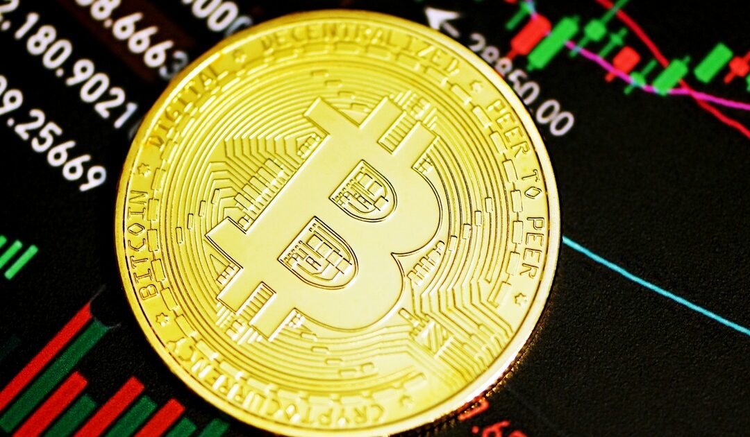 39.069 portafogli Bitcoin abbandonati — Noah Doe e la causa legale per i wallet dormanti