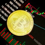 Costituzione degli Stati Uniti incisa sulla blockchain Bitcoin con una transazione da $83 — archivio permanente e immutabile